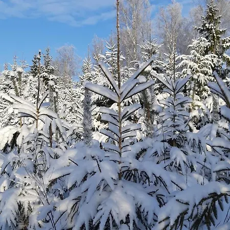 营地 Glamping Kirikumoisa