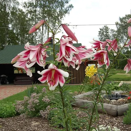 Glamping Kirikumoisa