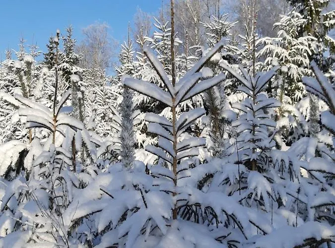 Kemping Glamping Kirikumoisa