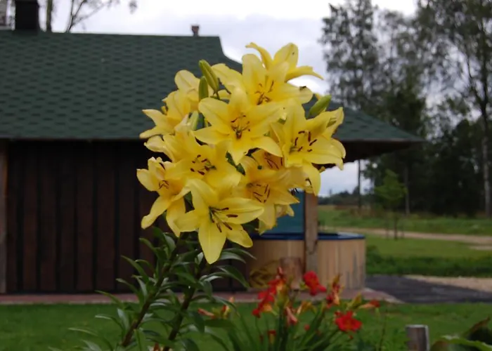 Glamping Kirikumoisa