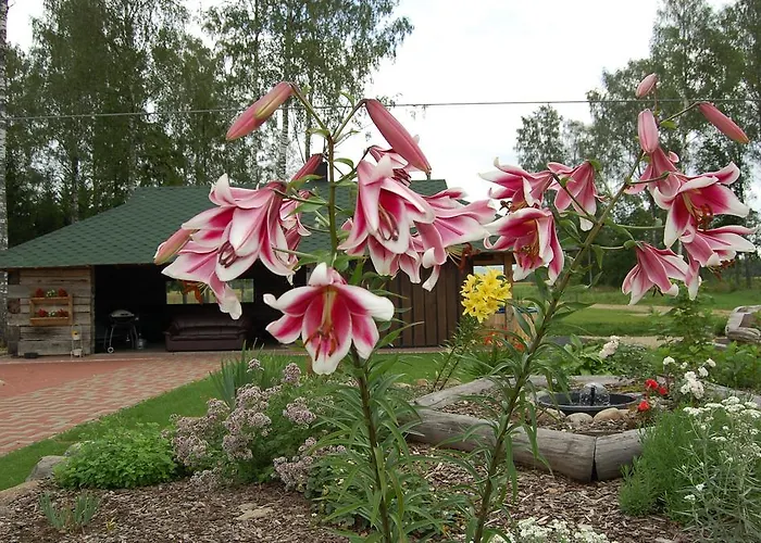 Glamping Kirikumoisa